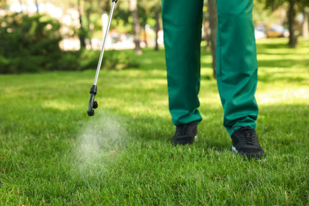 Best Wildlife Control Services  in Borrego Springs, CA